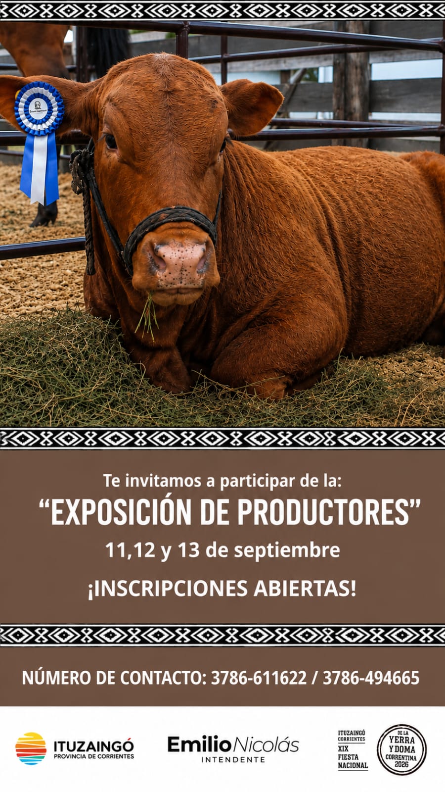 Imagen adicional